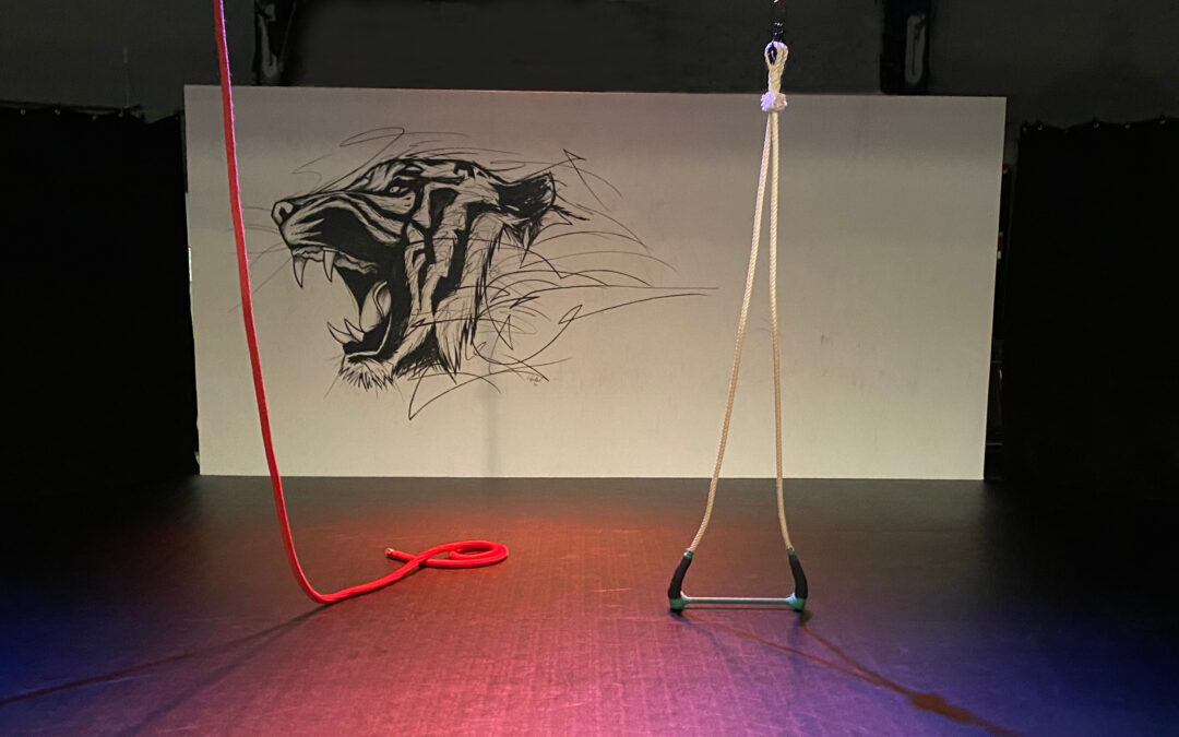 Abschlussshowing Doing Circus